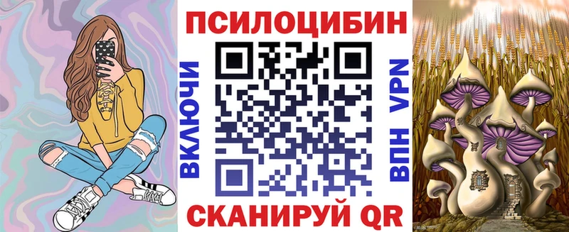Купить где  Кропоткин  Галлюциногенные грибы Psilocybine cubensis 